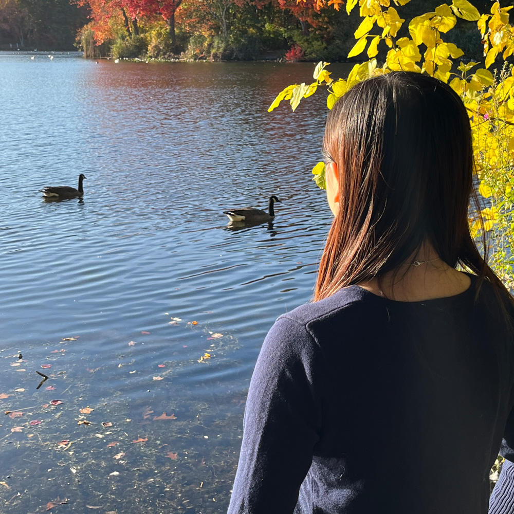 Seau Yin Chong_about_Lookingatlake